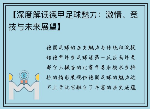 【深度解读德甲足球魅力：激情、竞技与未来展望】
